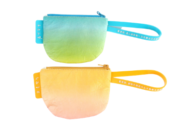 Tyvek Zipper Pouch