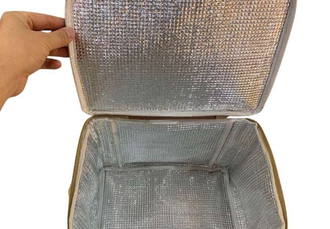 Washable Kraft Paper Cooler Tote Bag