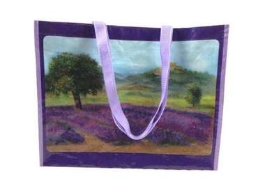 PP Woven Laminated Shopping Bag