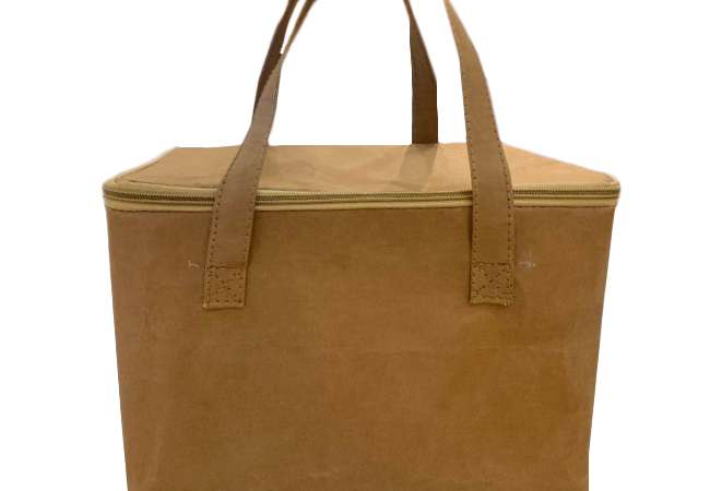 Washable Kraft Paper Cooler Tote Bag