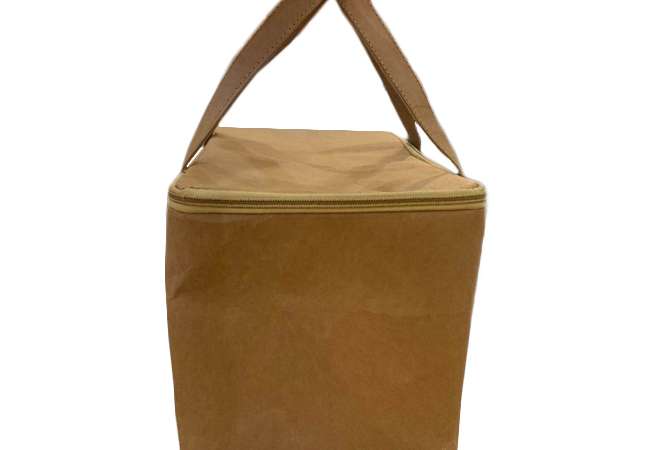 Washable Kraft Paper Cooler Tote Bag