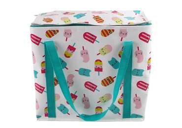 CMYK Printing PP Woven Cooler Bag