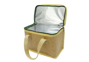 Large Capacity Tyvek Cooler Bag
