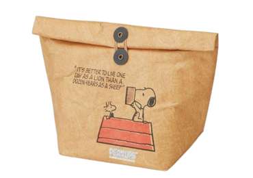 Tyvek Cooler Lunch Bag with String Closure