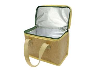 Large Capacity Dupont Paper Cooler Bag