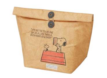 Tyvek Cooler Lunch Bag with String Closure
