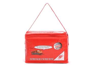 Customized PP Woven Cooler Bag