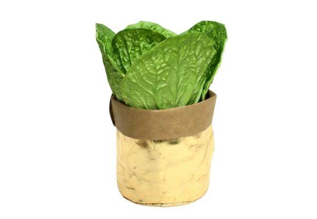 Washable Kraft Paper Grocery Bag