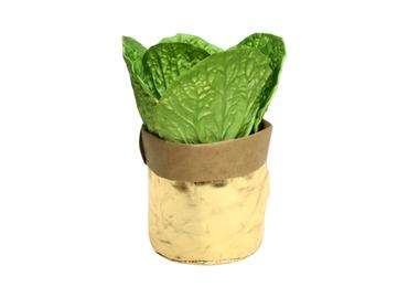 Washable Kraft Paper Grocery Bag