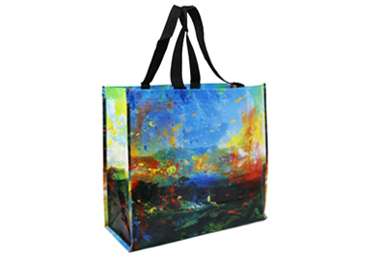 Colorful PP Coated Woven Shopping Bag